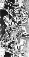 esch_stairs